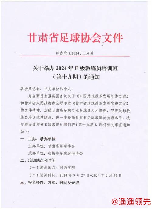 强基固本 赋能青训——青海省足协E级教练员培训班在德令哈市开班